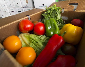 Brainfeeders delivers locally grown fruits and vegetables to students