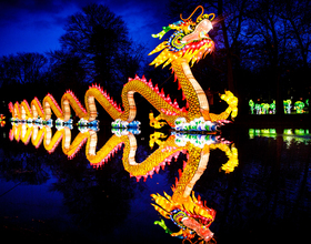 See dragons and baby pandas up close at the NYS Chinese Lantern Festival