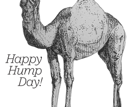 Happy Hump Day