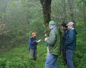 Biology professor to study climate change in Great Smoky Mountains