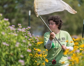 Amid declining bee population, community efforts attempt to save environment