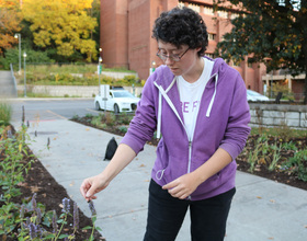 SUNY ESF is on its way to improving its pollinator-friendly environment on campus