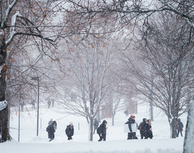 Embrace the cold by venturing to some of Syracuse’s winter hiking gems