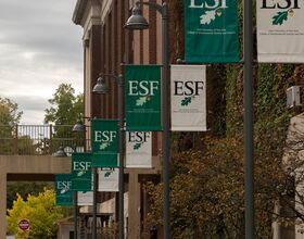 Stanford lists 34 ESF researchers among the world's most cited scientists in 2021