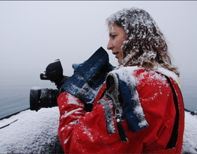 Janet Bigg’s newest exhibit takes viewers on an Arctic expedition