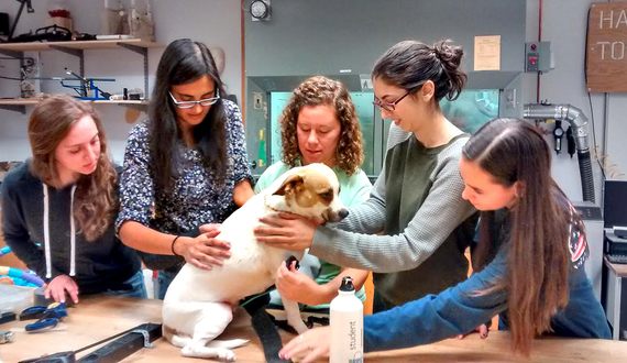 Orthotics and Prosthetics Club at University of Delaware creates new leg for dog