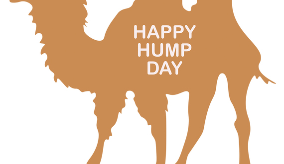 Happy hump day