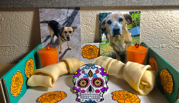 Students share the importance of celebrating dead loved ones for Día de los Muertos