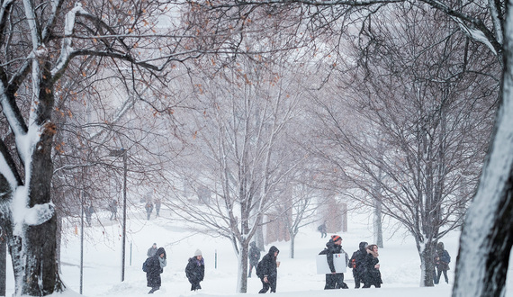 Embrace the cold by venturing to some of Syracuse’s winter hiking gems