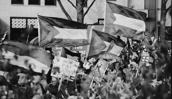 March on Washington for Gaza through the eyes of a Palestinian American journalist