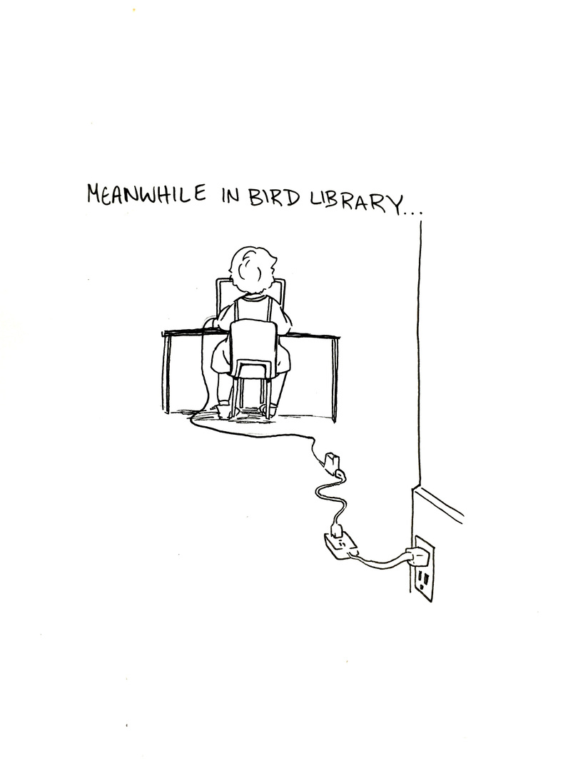 Bird Library