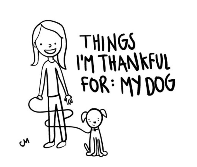 Things I&#8217;m thankful for