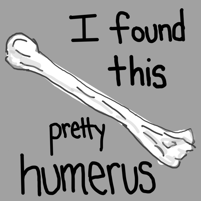 Humerus