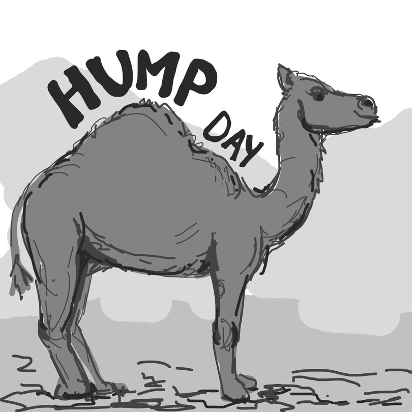 Hump Day