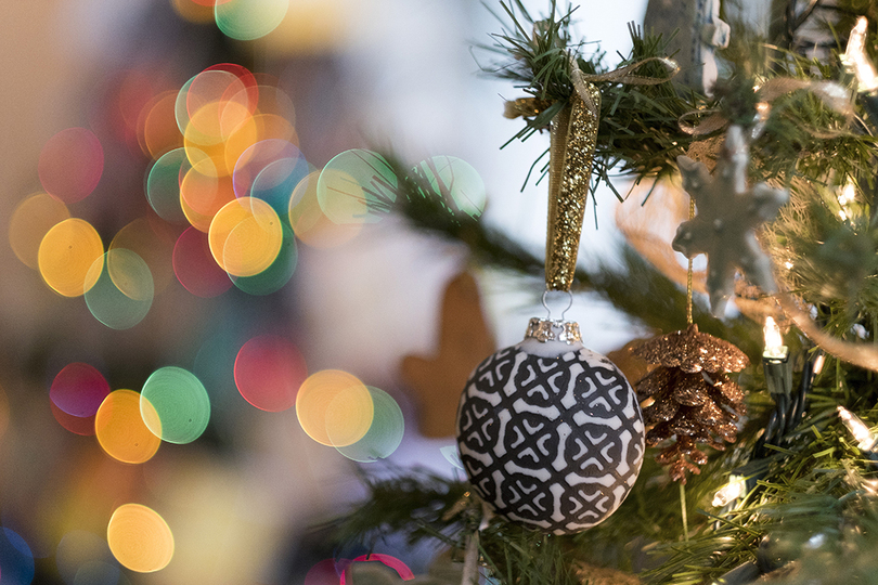 Everson Museum’s Festival of Trees brings out creativity in Syracuse community