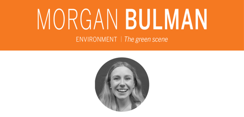 How ordinary people can work to enact environmental policy under an anti-climate change Trump administration