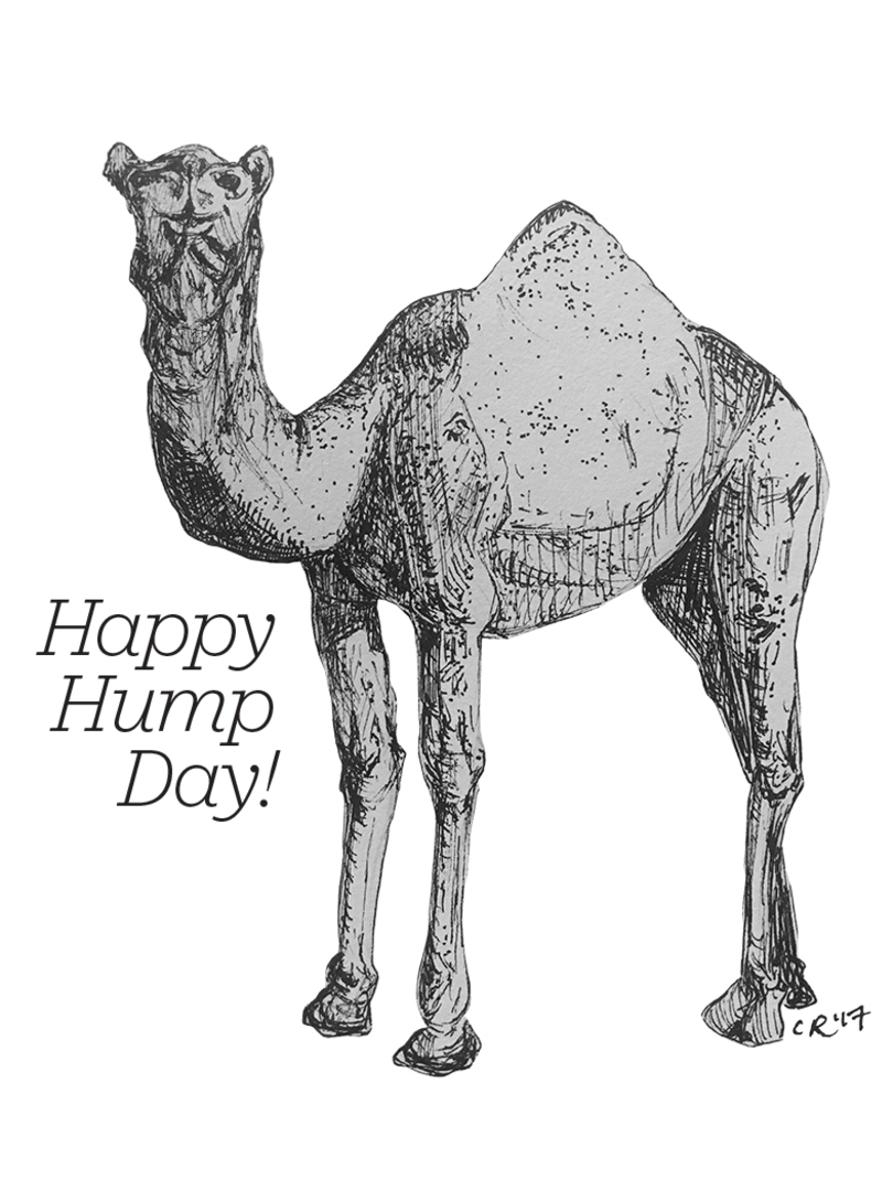 Happy Hump Day