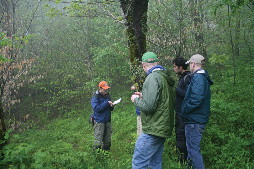 Biology professor to study climate change in Great Smoky Mountains