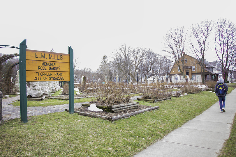 Thornden Park gets ready for spring with restoration projects